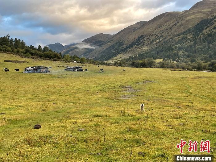 圖為9月27日新沾牧場的早晨景色。 <a target='_blank' href='/'><p  align=