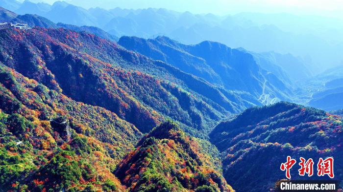 巴山大峽谷彩林迎來最佳觀賞期。　張平 攝