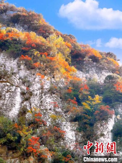 彩林色彩斑斕?！≈炱桨?攝