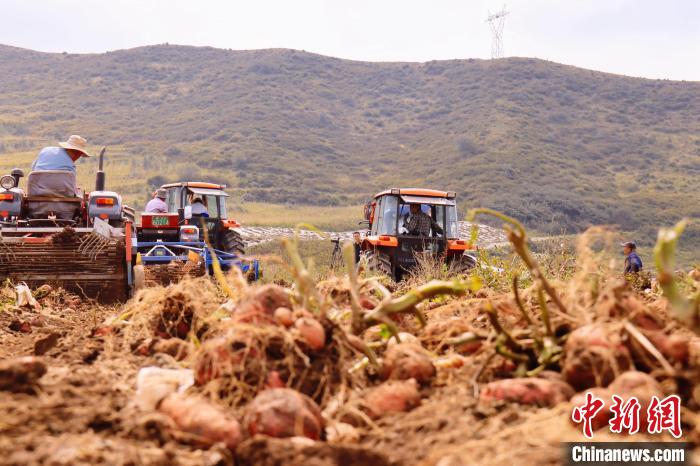 青海東部農(nóng)業(yè)區(qū)：“一分川、一分水、八分山”里“刨金記”
