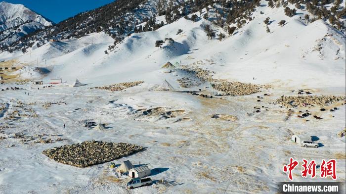 圖為無(wú)人機(jī)航拍牧場(chǎng)?！《继m縣融媒體中心供圖