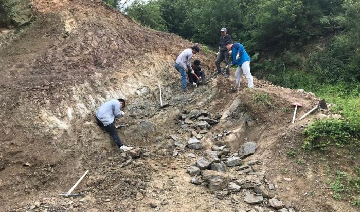 2018年玉海翼角魚野外發(fā)掘采集現(xiàn)場?！∩w志琨 攝