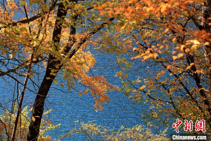 松坪溝風(fēng)光。　劉通 攝