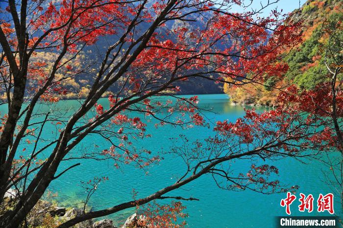 松坪溝風(fēng)光。　何清海 攝