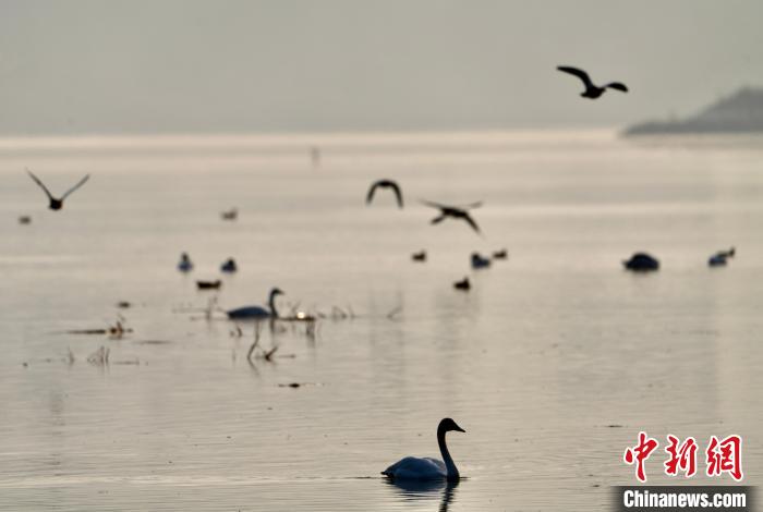青海自然資源領(lǐng)域:構(gòu)建具有青藏高原特色生態(tài)產(chǎn)品價值實現(xiàn)路徑