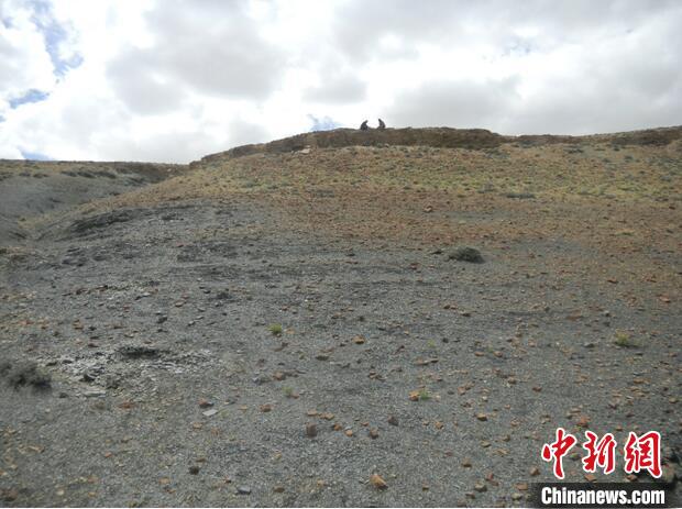 圖為本次研究的藏南曲布剖面二疊紀(jì)末期黑色頁巖?！∧瞎潘?供圖