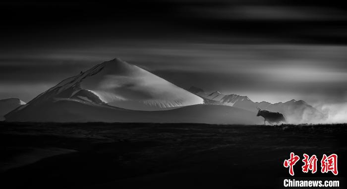 青海攝影師斬獲第二屆錦繡中華(金鼎獎)全國風光攝影大賽金獎