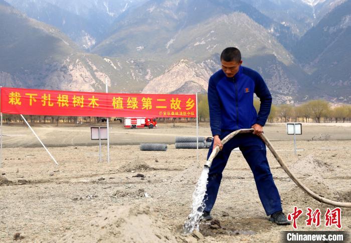 林芝市巴宜區(qū)森林消防中隊(duì)志愿服務(wù)隊(duì)澆水灌溉?！∥骼@拉翁 攝