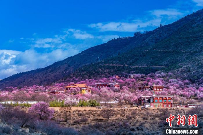 美麗的鄉(xiāng)村畫卷?！『涡秀?攝