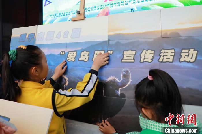 圖為學(xué)生通過拼圖游戲了解鳥類知識(shí)。　馬銘言 攝