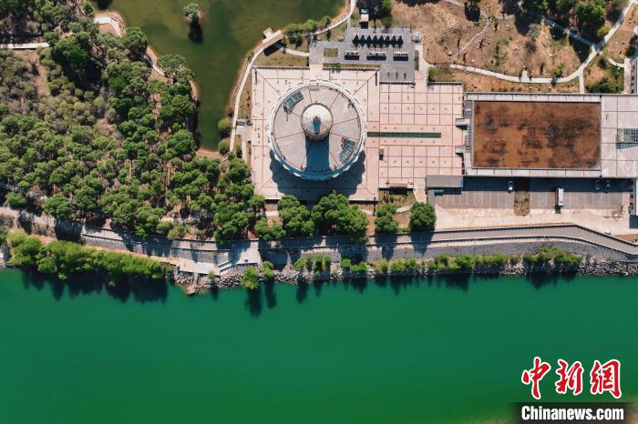 航拍青海貴德黃河岸畔綠意濃濃?！≮w凜松 攝