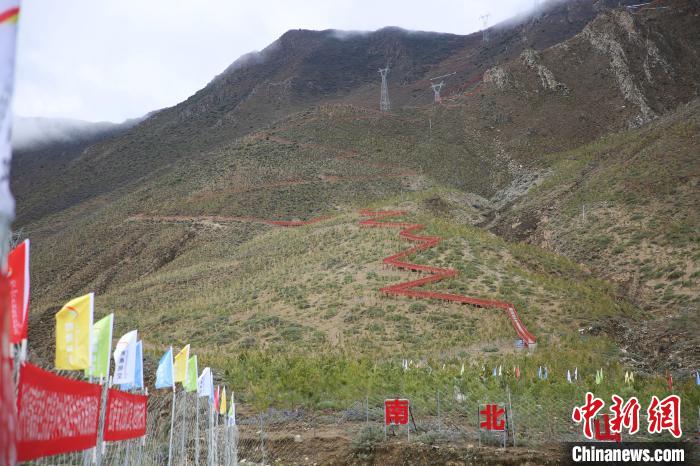 圖為拉薩南北山綠化工程拉薩曲水縣才納村5號片區(qū)?！∝暣_ 攝