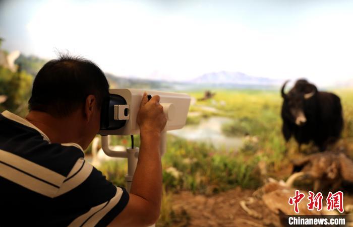 圖為臺商觀看祁連山國家公園生態(tài)科普館內生態(tài)場景。　薛蒂 攝