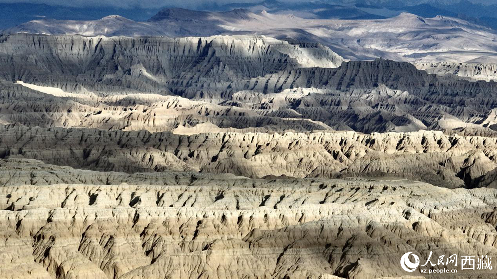 西藏阿里地區(qū)札達(dá)土林國(guó)家地質(zhì)公園。人民網(wǎng)記者 次仁羅布攝