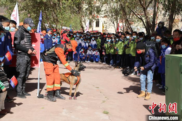 圖為搜救犬服從和箱體搜救演練。　趙琳 攝