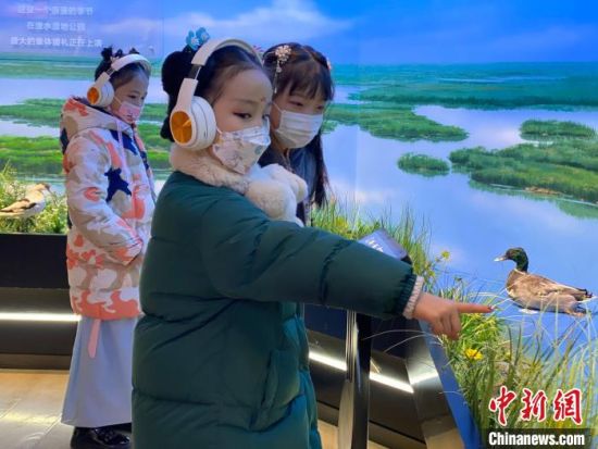 圖為學(xué)生在西寧市第一中學(xué)濕地科普宣教館內(nèi)參觀?！±罱瓕?攝