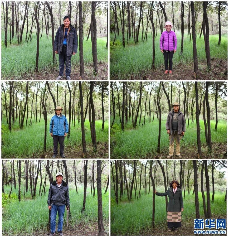 (新華全媒頭條·圖文互動)(7)莊重的承諾 歷史的奇跡——西藏自治區(qū)決戰(zhàn)脫貧攻堅紀實