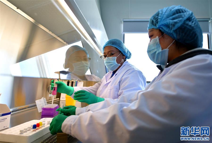 (新華全媒頭條·圖文互動)(8)莊重的承諾 歷史的奇跡——西藏自治區(qū)決戰(zhàn)脫貧攻堅紀實