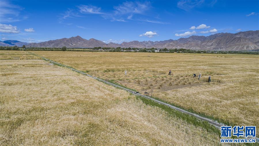 （新華全媒頭條·走向我們的小康生活·圖文互動(dòng)）（11）扎西德勒，我們的新家園——西藏易地扶貧搬遷搬出幸福美好新生活