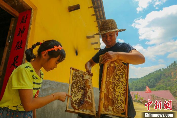 “甜蜜產(chǎn)業(yè)”讓全村致富有奔頭。洲湖鎮(zhèn)供圖