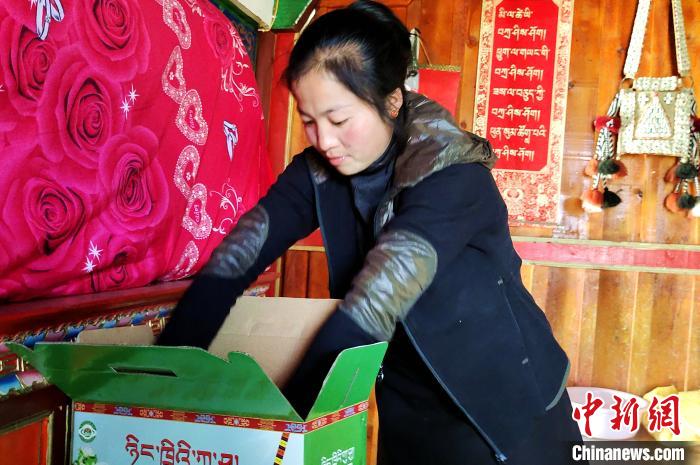 圖為通麥村村民巴桑拉姆把精心挑選的蘋果裝箱?！∝暽＠?攝