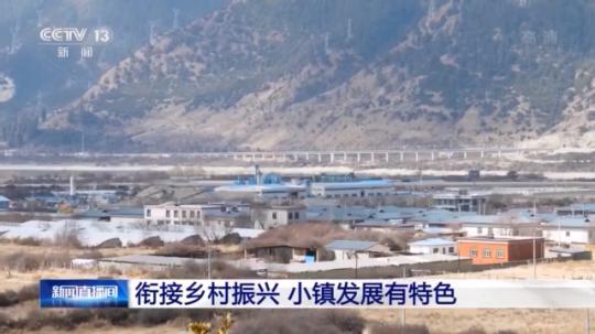 種蘑菇、養(yǎng)駱駝...。。特色產(chǎn)業(yè)助力鄉(xiāng)村振興走新路