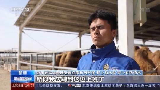 種蘑菇、養(yǎng)駱駝...。。特色產(chǎn)業(yè)助力鄉(xiāng)村振興走新路