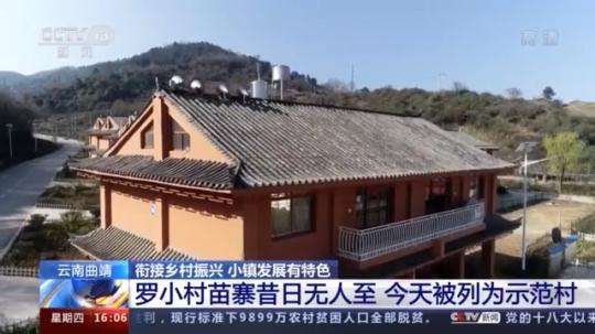 種蘑菇、養(yǎng)駱駝...。。特色產(chǎn)業(yè)助力鄉(xiāng)村振興走新路