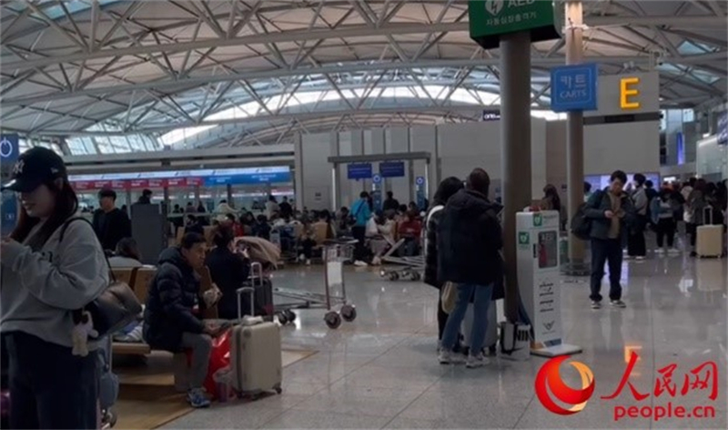 11月29日，繁忙的仁川機場。人民網(wǎng) 李帆攝