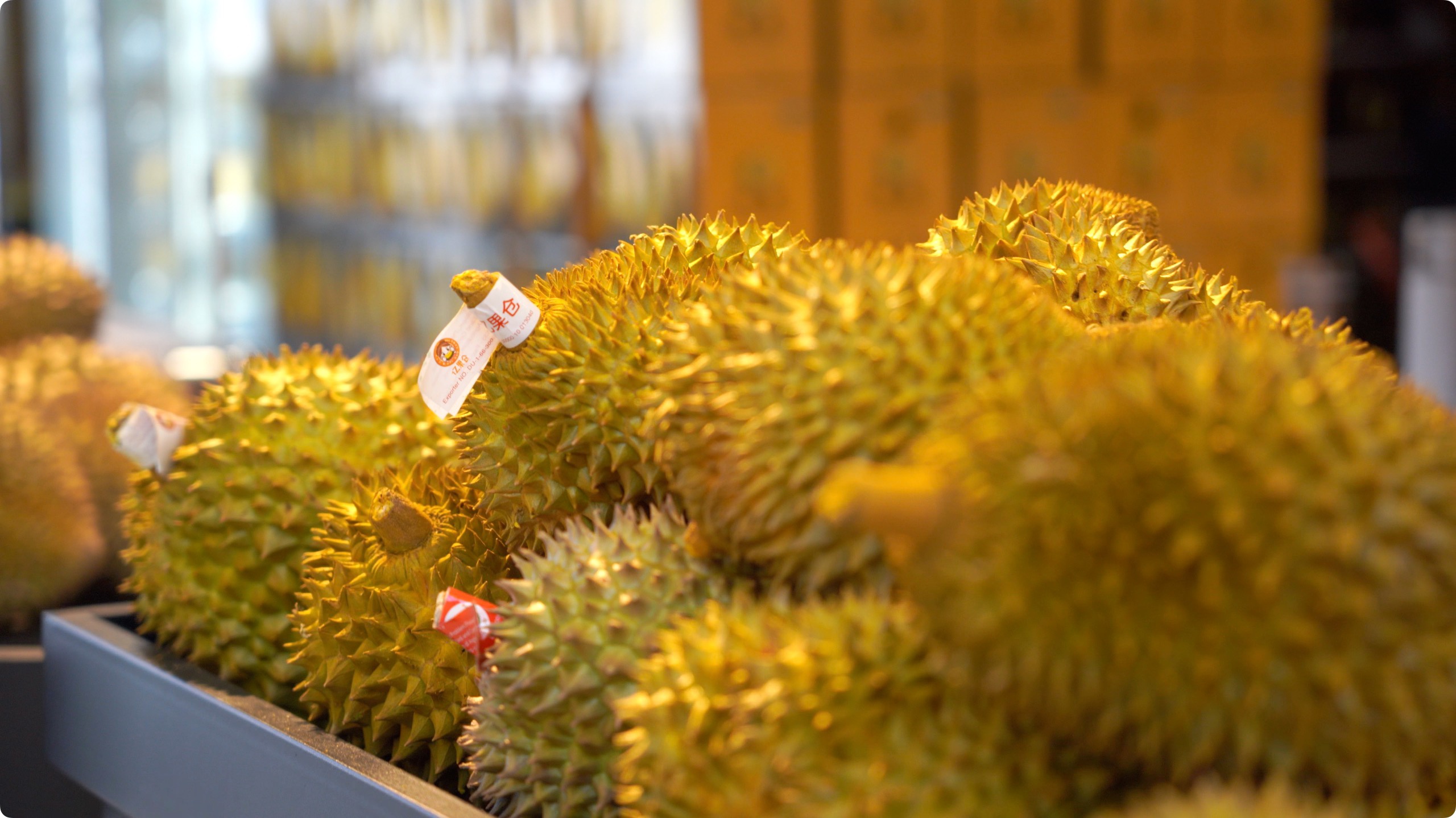 5月初，人民網(wǎng)記者申佳平攝