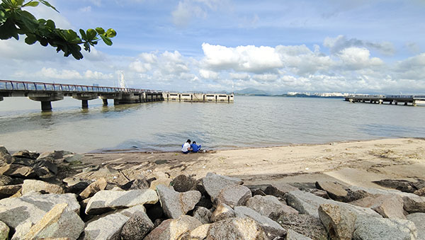 深圳紅樹(shù)林灘涂，留給了孩子們親近自然的空間。人民網(wǎng)記者 李彤?dāng)z