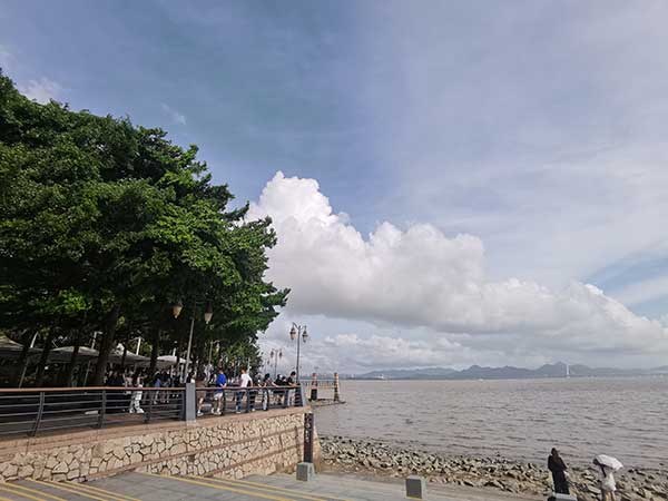 紅樹(shù)林灘涂沿線一角。人民網(wǎng)記者 張素玲攝