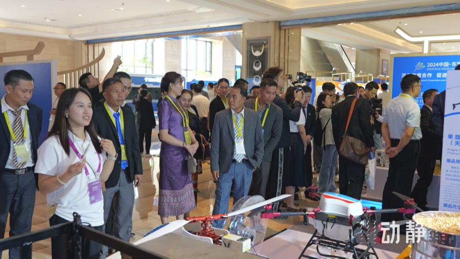 展示成果分享經(jīng)驗，中國—東盟教育交流周深化合作共創(chuàng)未來！