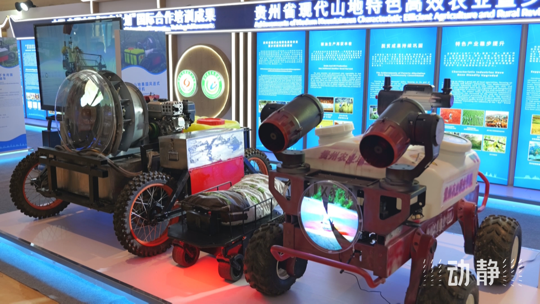 展示成果分享經(jīng)驗，中國—東盟教育交流周深化合作共創(chuàng)未來！