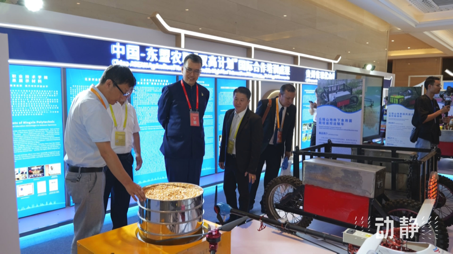 展示成果分享經(jīng)驗，中國—東盟教育交流周深化合作共創(chuàng)未來！