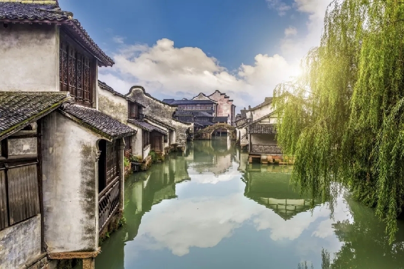 烏鎮(zhèn)動(dòng)觀察｜這個(gè)字，牽起國(guó)際交流互鑒之紐帶