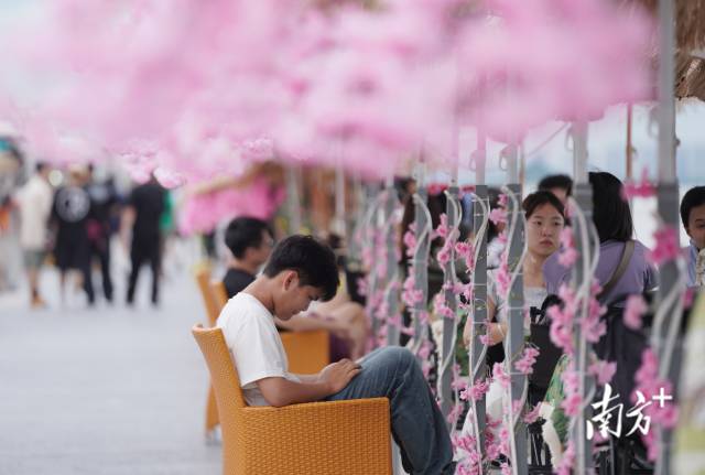 崖口村東堤靠近海岸，成為了熱門打卡休閑地點(diǎn)。