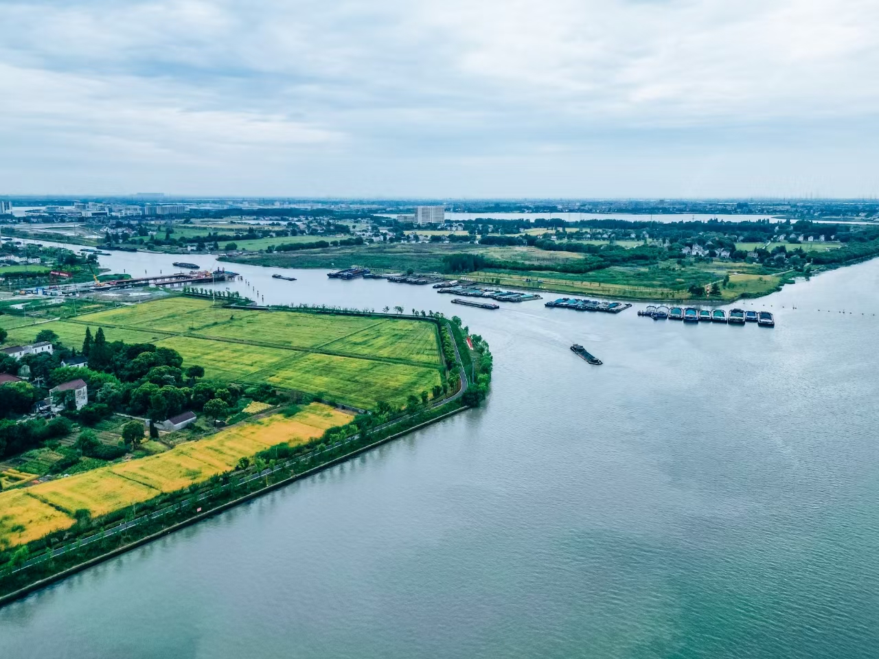 太浦河沿岸好風(fēng)光。吳橫軒攝