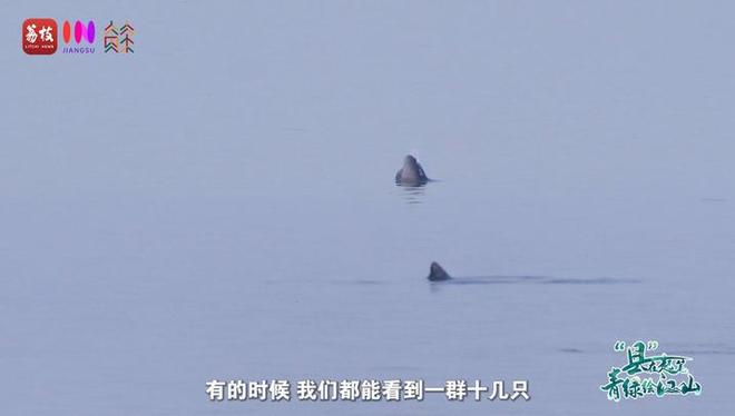 “縣”在起筆 青綠繪江山 | 江灣沐曉：褪去“銹色”走“金線”，繡出生態(tài)與產(chǎn)業(yè)“雙面錦”