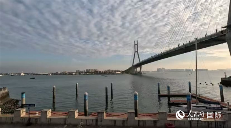 海南省儋州市洋浦大橋。人民網(wǎng) 薩拉·阿芙澤爾攝