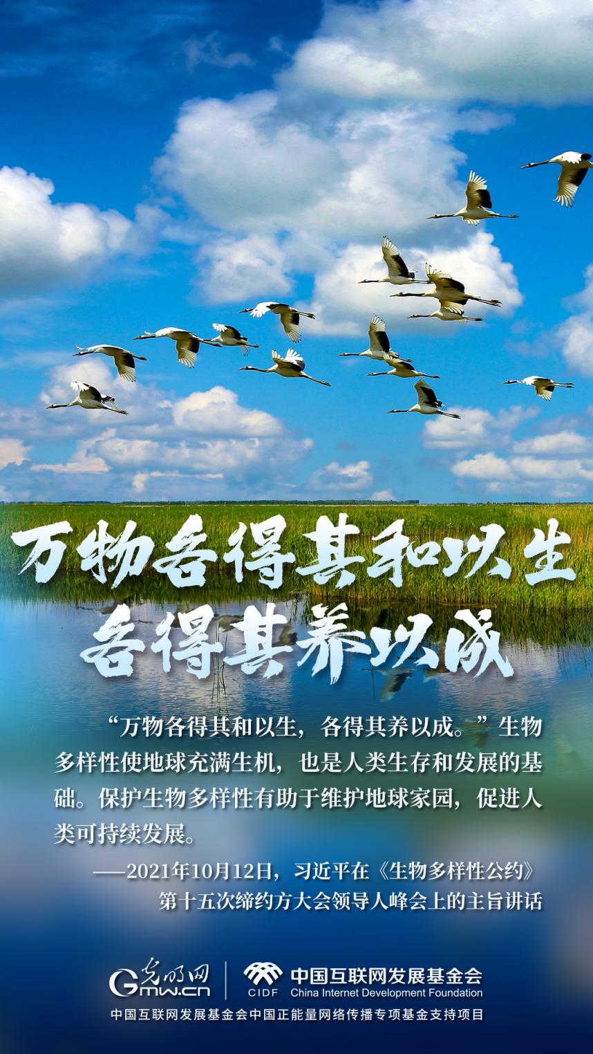 “兩山”理念與美麗中國丨濕地與候鳥，一場歲歲年年的相守