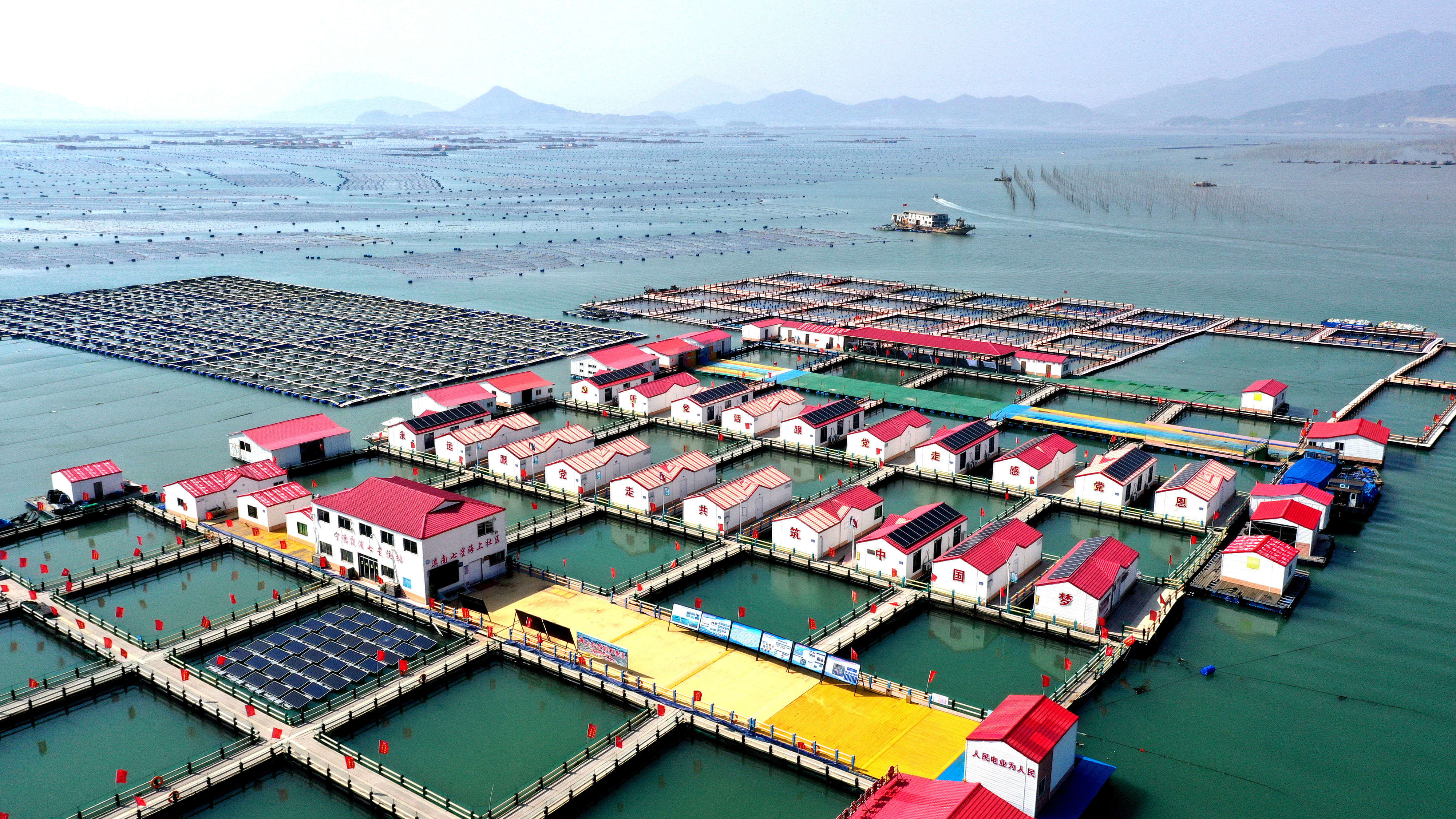 2024年3月20日，福建省寧德市，霞浦縣溪南鎮(zhèn)七星村漁排養(yǎng)殖示范區(qū)，漁民駕駛養(yǎng)殖船進行海參養(yǎng)殖作業(yè)。