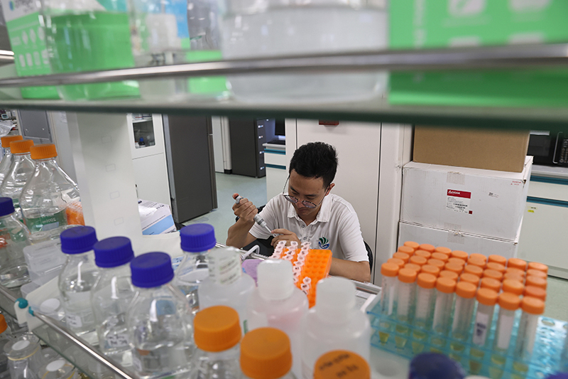 在三亞崖州灣科技城，一名青年科技工作者正在進行科研工作。