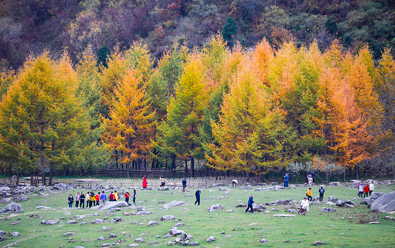 2023年10月27日，深秋時節(jié)的陜西秦嶺太子嶺漫山紅黃、色彩交織，進(jìn)入最佳觀賞期。