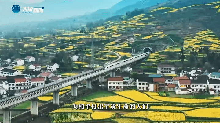 家國(guó)永念 | 看，山河已無(wú)恙