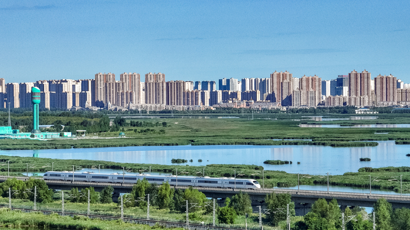 2025年8月17日，一列動車組列車駛過大慶東站。