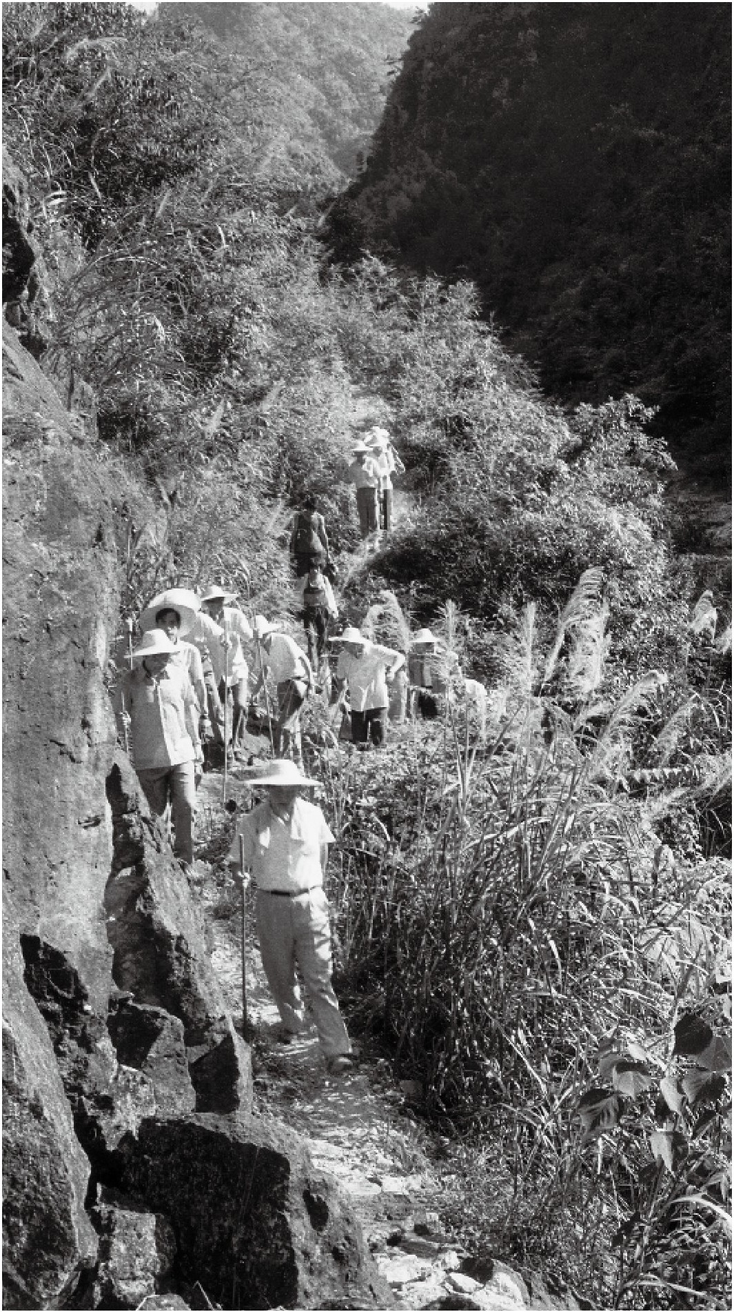 1989年7月，習近平一行到壽寧縣下黨鄉(xiāng)調(diào)研。