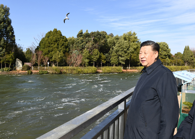 2020年1月20日下午，習(xí)近平總書記在云南昆明滇池星海半島生態(tài)濕地考察調(diào)研。