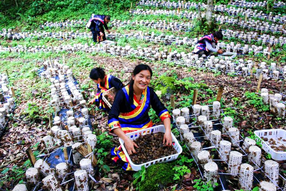 喜獲豐收展笑顏。次仁央宗攝