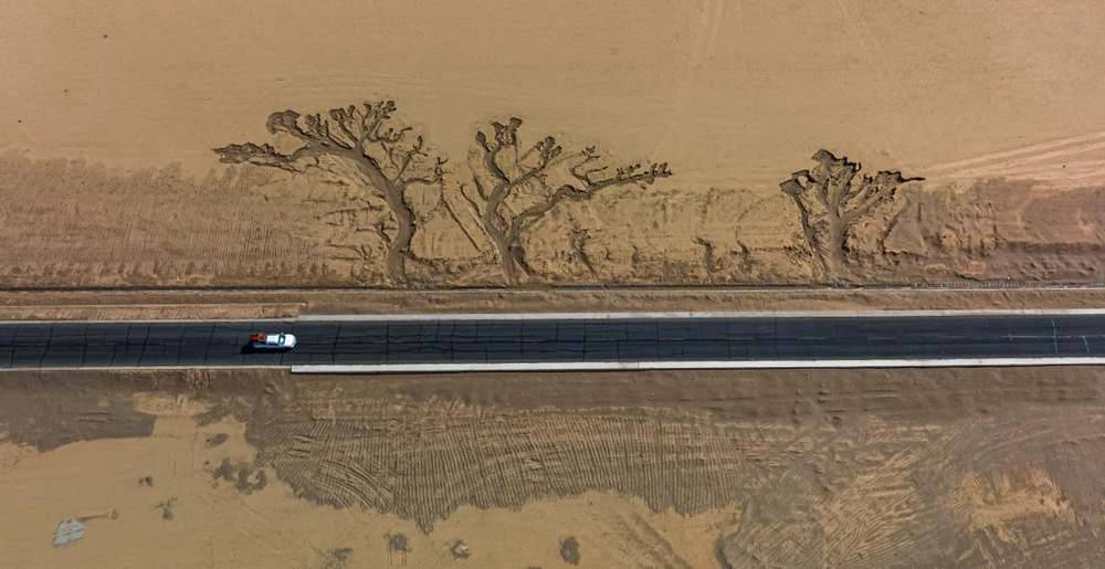 位于國(guó)道216沿線的“大地之樹”。邊巴多吉攝